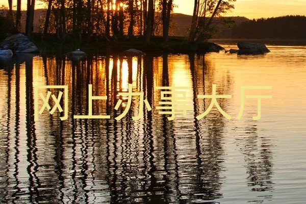 网上办事大厅