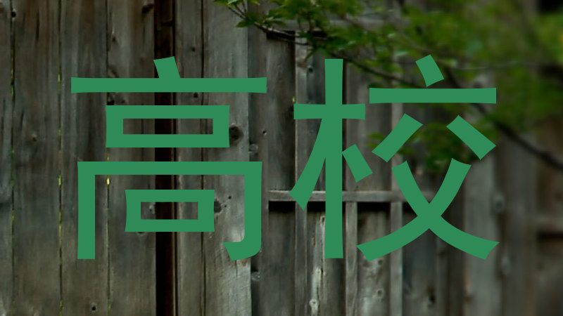 高校
