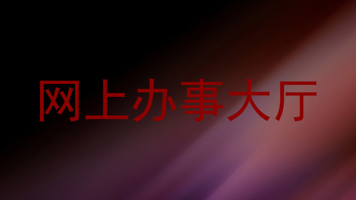 网上办事大厅