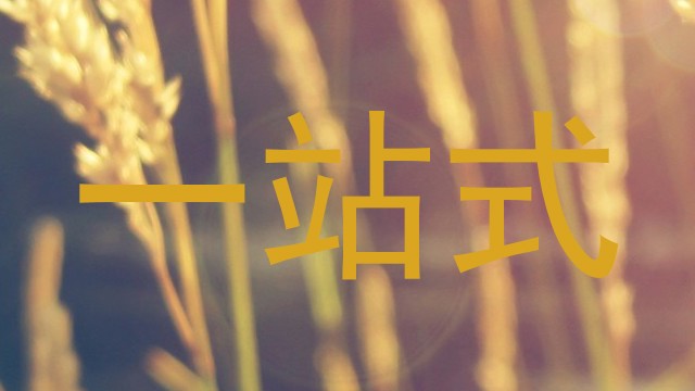 一站式