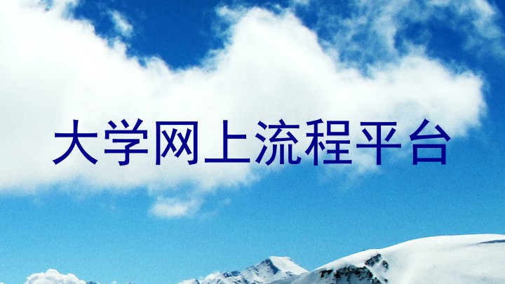 大学网上流程平台
