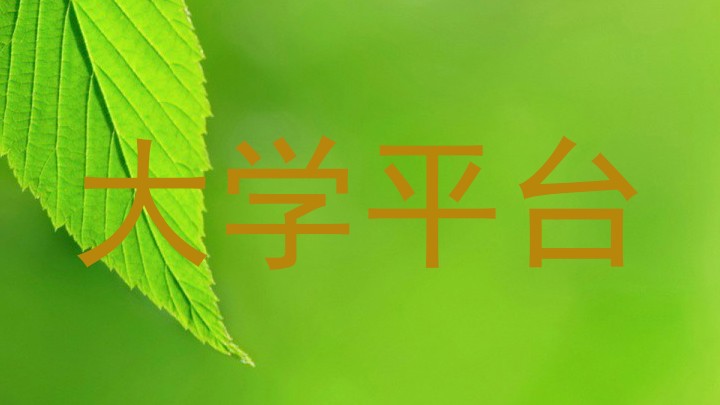 大学平台