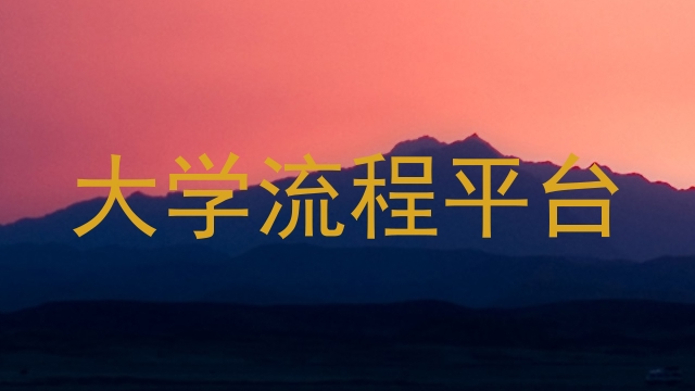 大学流程平台