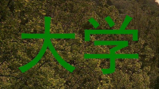 大学