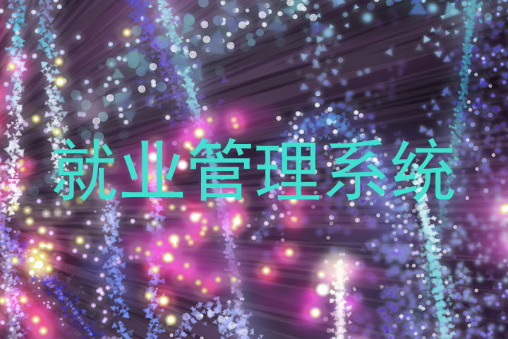 就业管理系统