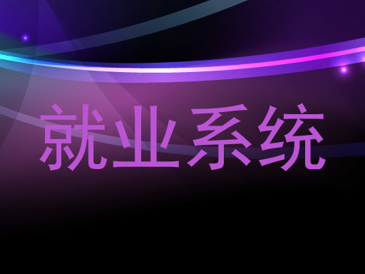 就业系统