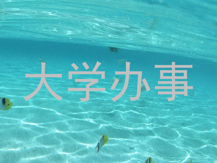 大学办事