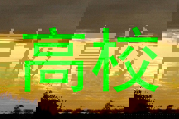 高校