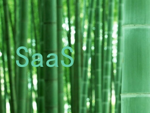 SaaS