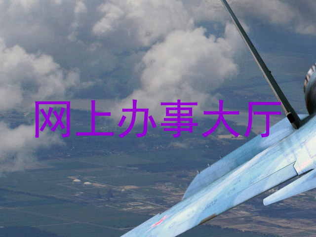 网上办事大厅