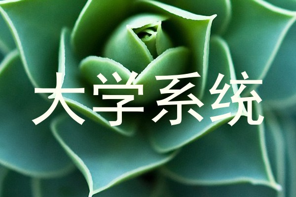 大学系统