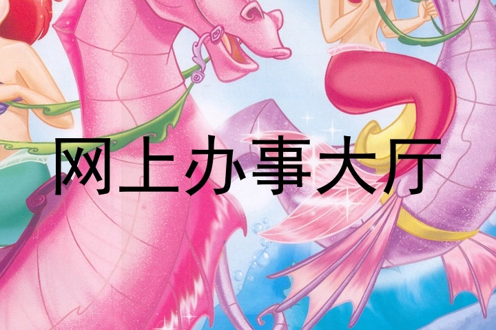 网上办事大厅