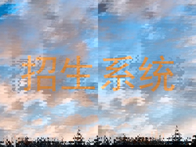 招生系统