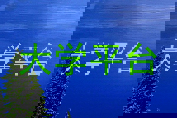大学平台