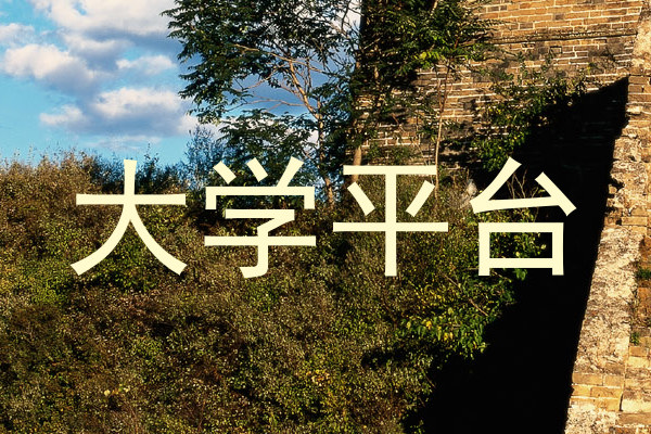 大学平台