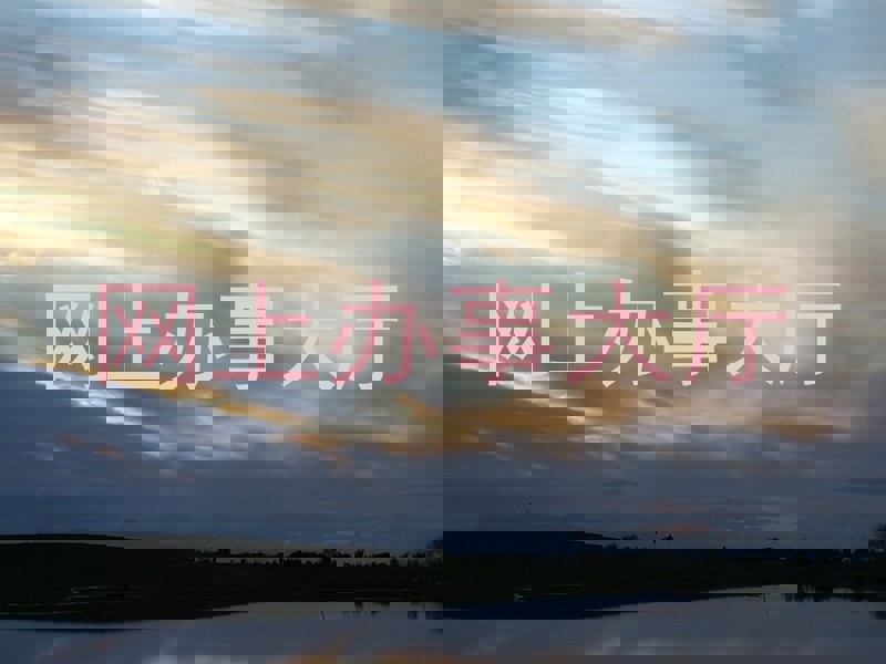网上办事大厅