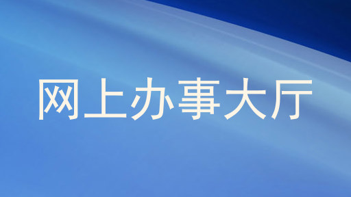 网上办事大厅