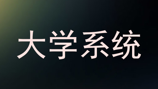 大学系统