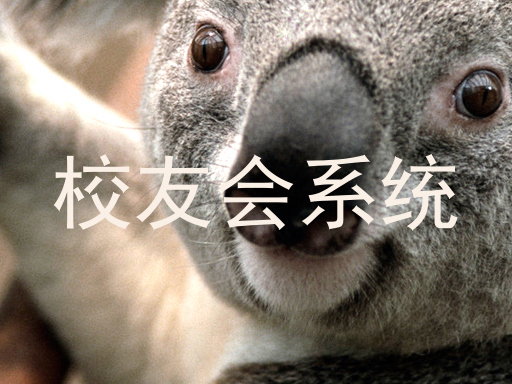 校友会系统