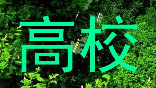 高校