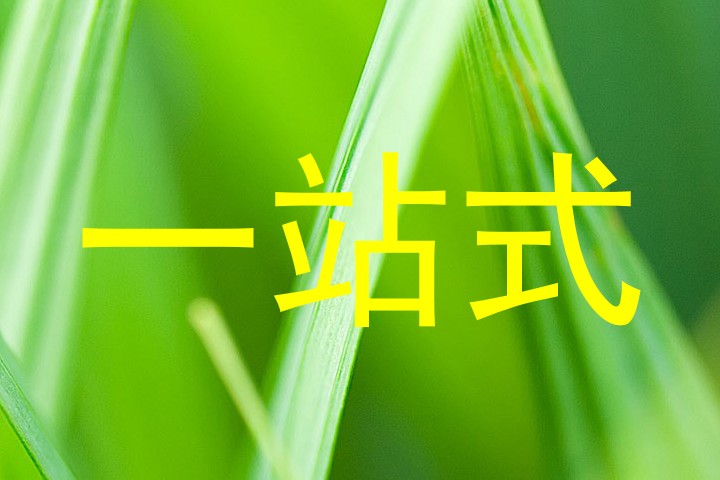 一站式