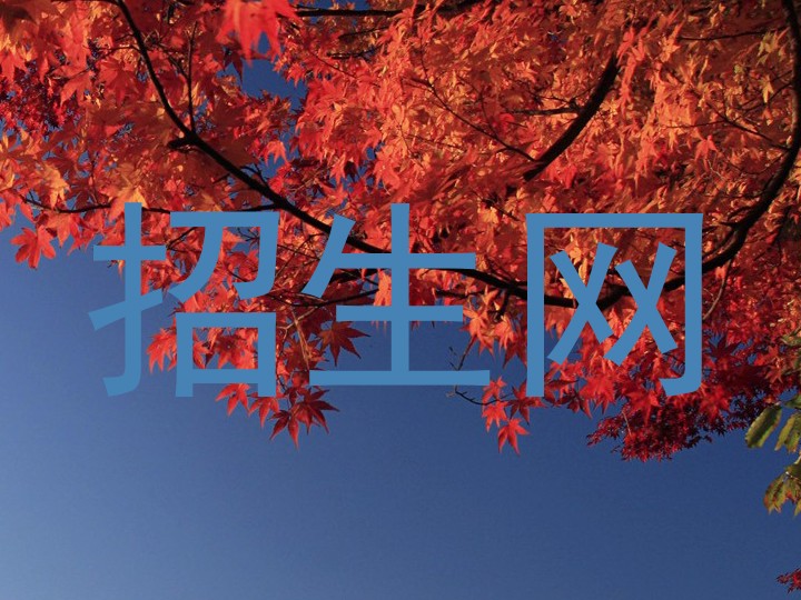 招生网