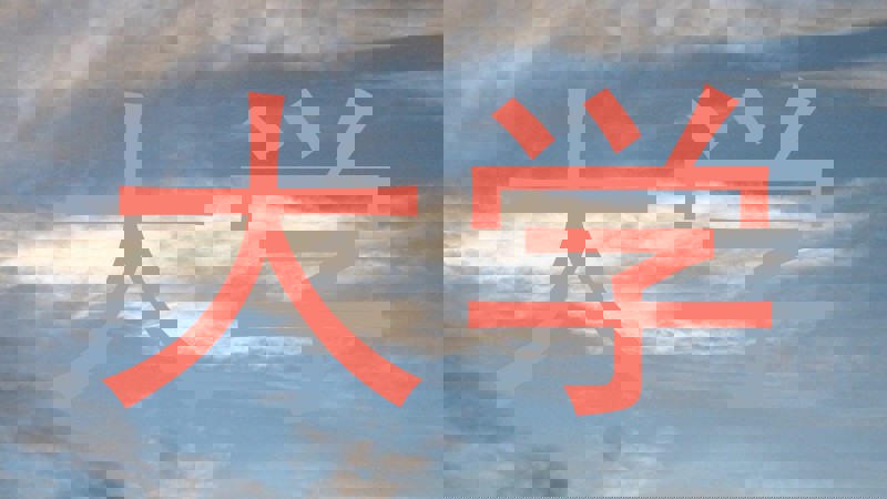 大学