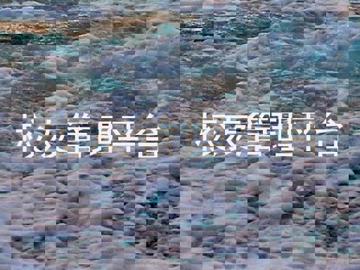 校友管理平台