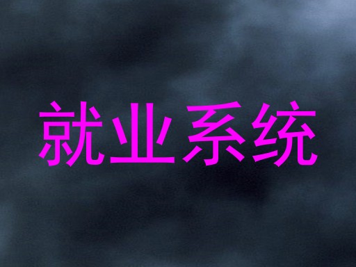 就业系统