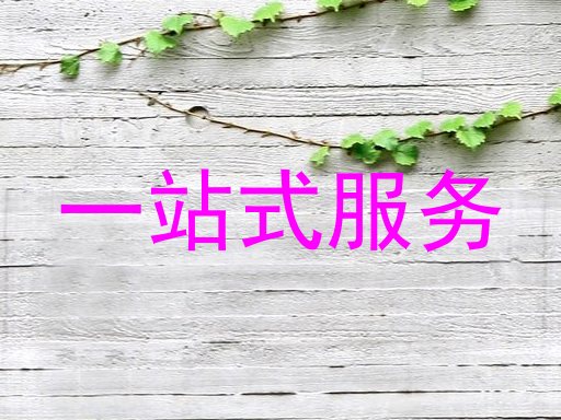 一站式服务
