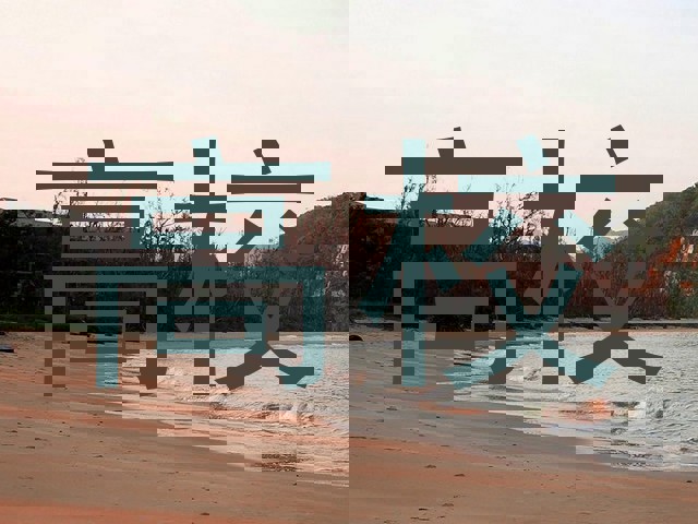 高校