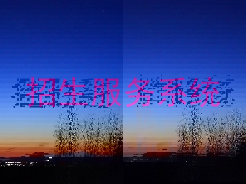招生服务系统