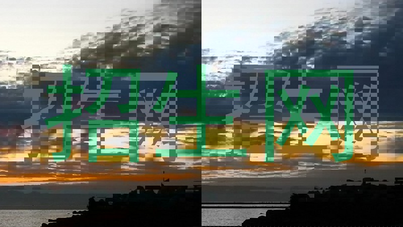 招生网