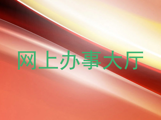 网上办事大厅