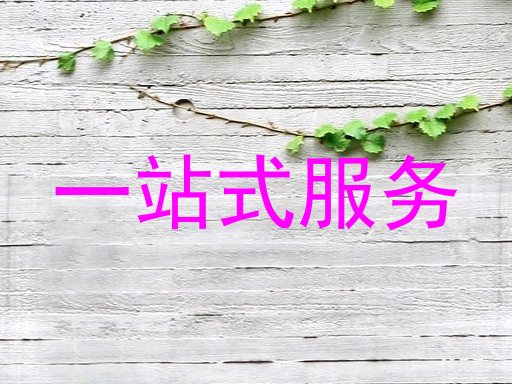 一站式服务