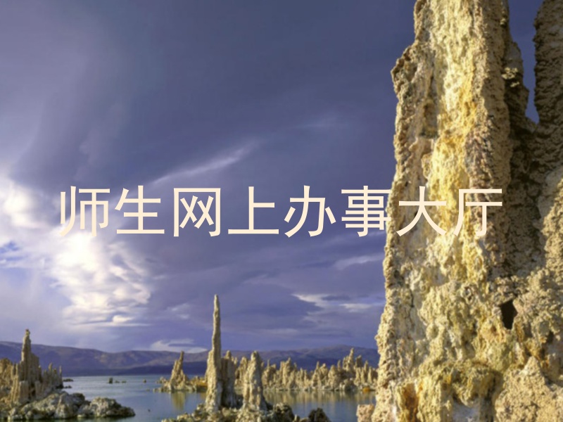 师生网上办事大厅