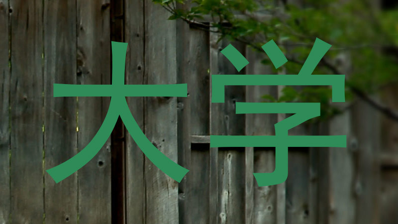 大学