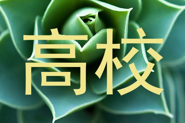 高校