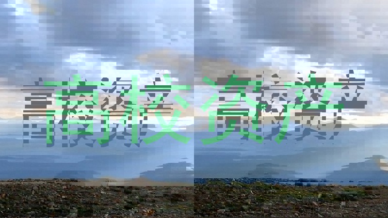 高校资产