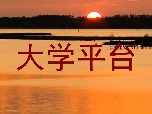 大学平台