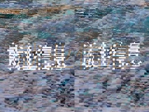 就业信息