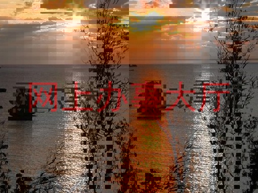 网上办事大厅