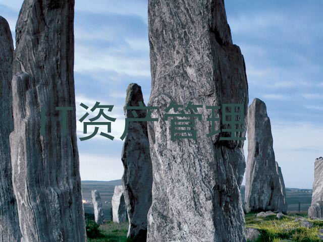 IT资产管理