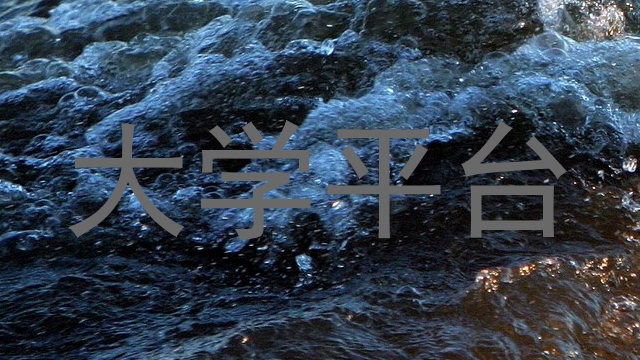 大学平台