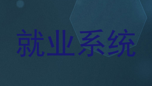 就业系统