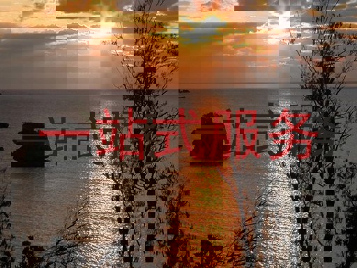 一站式服务