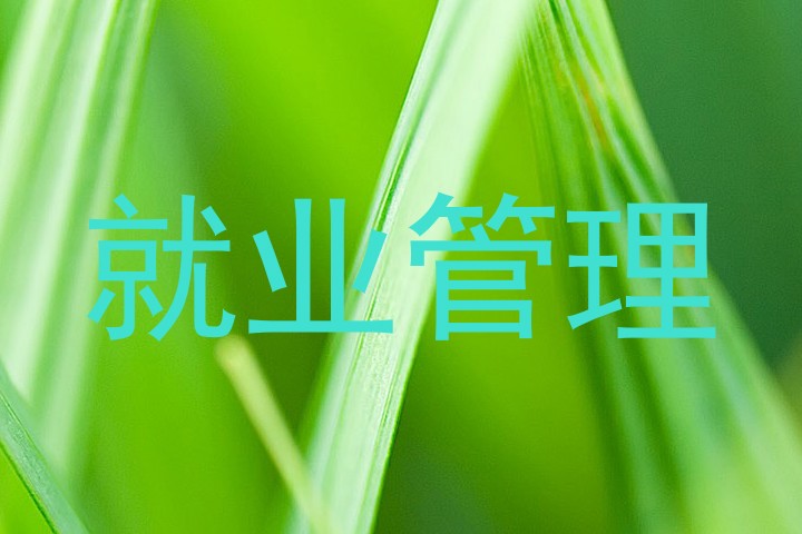 就业管理