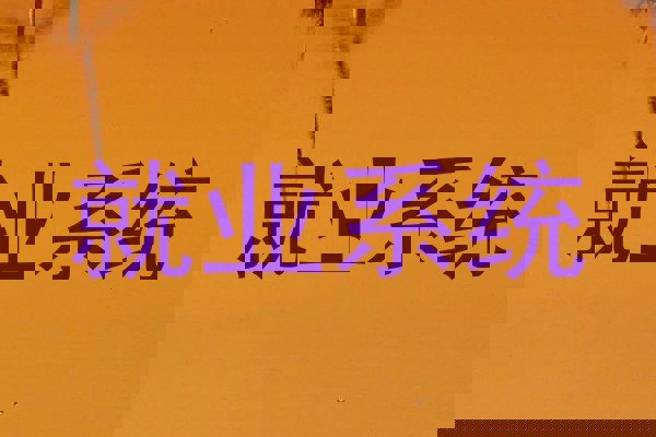 就业系统
