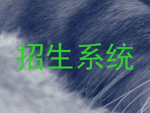 招生系统