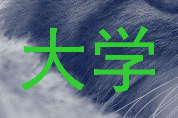 大学